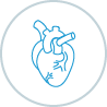 Cardiology Icon